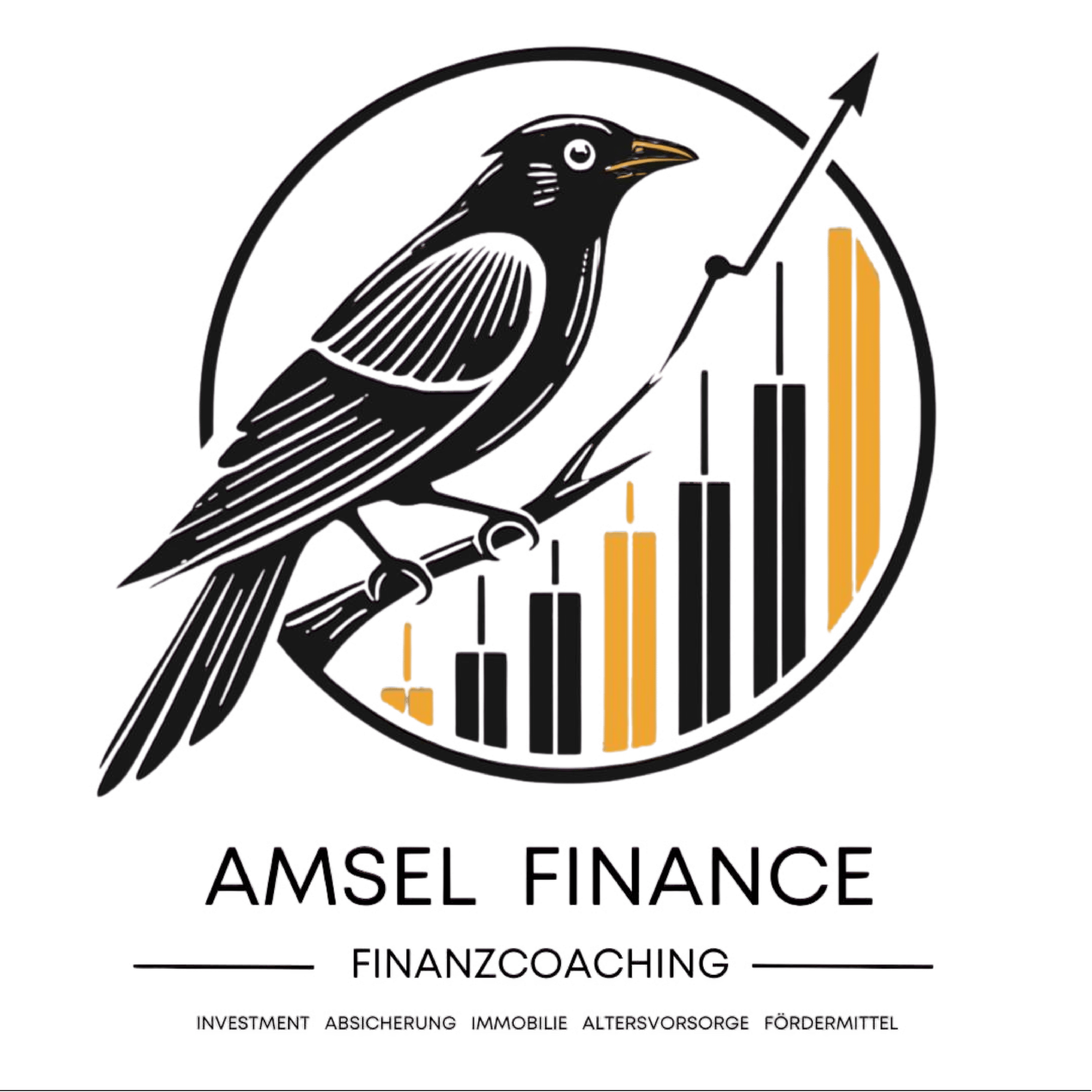 Amsel Finance